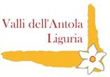 Logo Valli dell'Antola.JPG