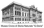 museo civico di
                                storia narale G. Doria