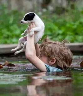 http://4.bp.blogspot.com/-Qd5DkZN8EcM/U3kCyzOVubI/AAAAAAAABpY/Q8DW5Ex1ZK4/s1600/bosna.jpg