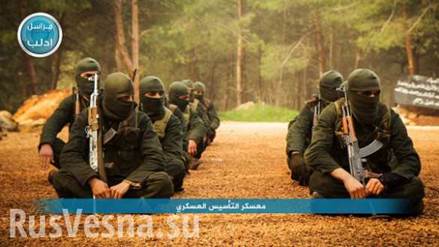 http://www.civg.it/images/02016/23/06SiriaISIS/06SiriaISIS_image001.jpg