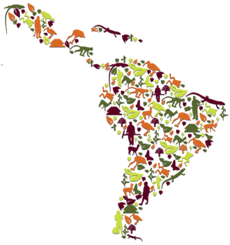 http://www.civg.it/images/02016/53/3CubaLMC/3CubaLMC_image001.png
