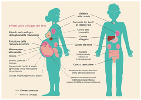 http://www.civg.it/images/02016/233/7PFAS/7PFAS_image001.png