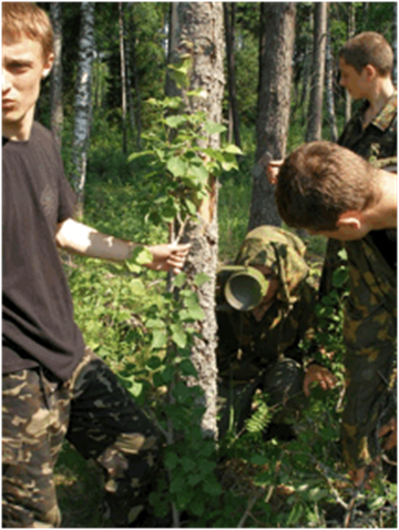 http://www.civg.it/images/UkraiInedNeonazi_file/image012.gif