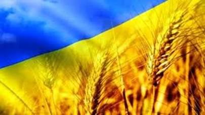 Grano, la Russia blocca l'export dall'Ucraina - Pars Today