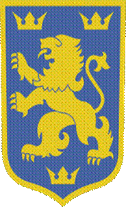 Patch sleeve (versione a colori)