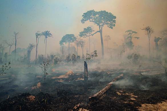 Il fuoco brucia il territorio recentemente deforestizzato dagli allevatori vicino a Novo Progresso, stato del Paran�, Brasile