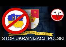 Przyjdą i zabiorą: antyukraińska mowa nienawiści na polskim Twitterze. Raport Helsińskiej Fundacji Praw Człowieka – Monitor Konstytucyjny